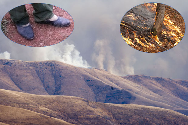 Мештани Топлог Дола гасили пожар у опанцима: Храбри сељаци трчали кроз врлети и крш ИСПРЕД ватрогасаца 